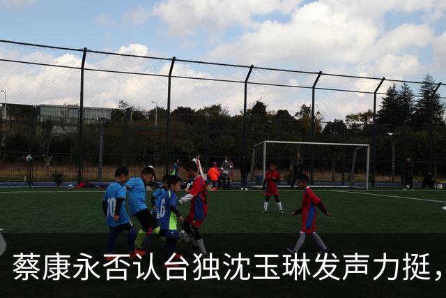 蔡康永否认台独沈玉琳发声力挺，曝其财富自由够普通人花两三辈子