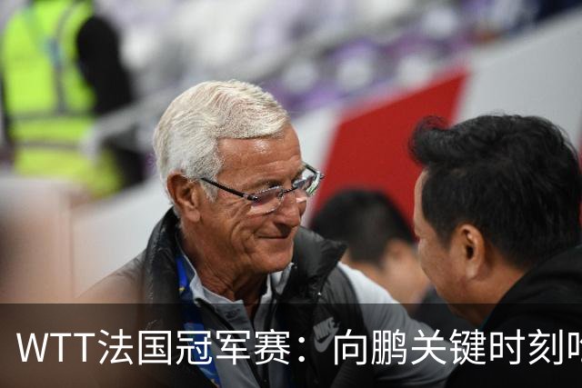 WTT法国冠军赛：向鹏关键时刻吃俩发球，2-3惜败不敌老将奥恰洛夫